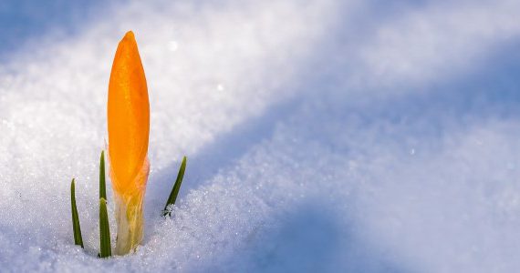 Give Your PC a Spring Clean, from Vantage IT Solutions. Don't spend a penny on your computer to gain performance if you don't need to. Give it a spring clean! Try these tips before purchasing a new PC or upgrade your existing one. This is a bit of DIY IT support, but for the real thing, contact Vantage IT.