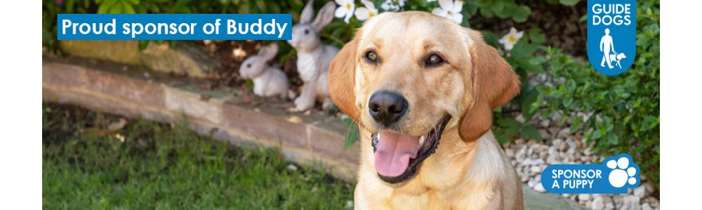 Vantage IT Support Proud Sponsor of Buddy. Our latest update about guide dog Buddy, proudly sponsored by Vantage IT. The Guide Dogs for the Blind Association do great work training guide dogs.