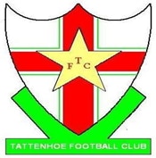 Tattenhoe FC Logo