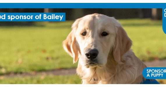 Vantage IT is sponsoring a puppy at the Guide Dogs for the Blind Association. It will be trained to become a guide dog, providing someone with independence.